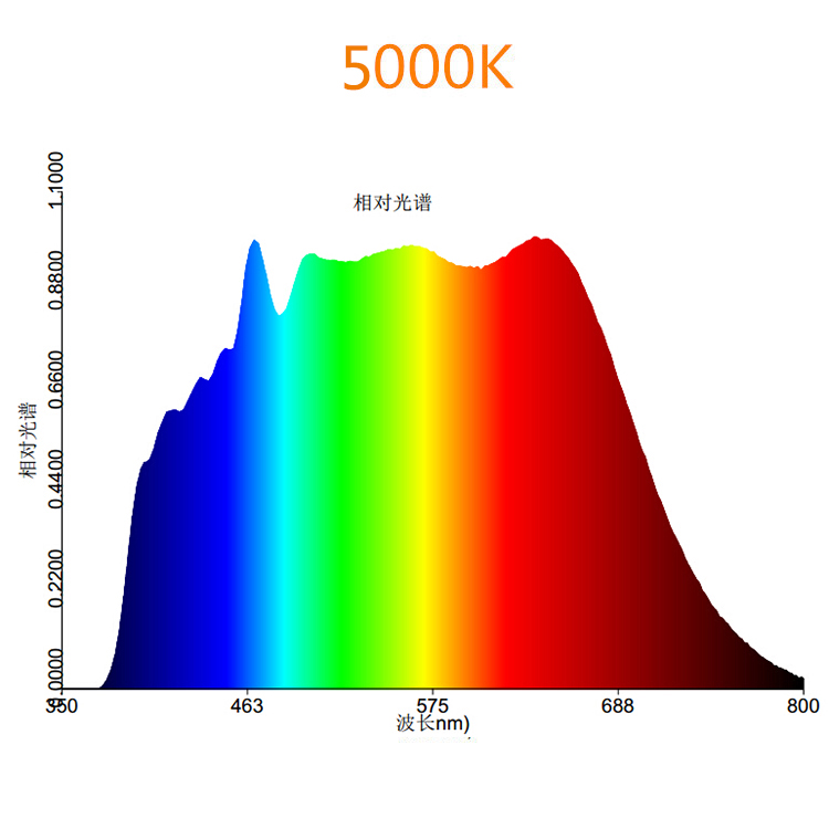 100w 전체 스펙트럼 흰색 개 암 나무 열매 LED