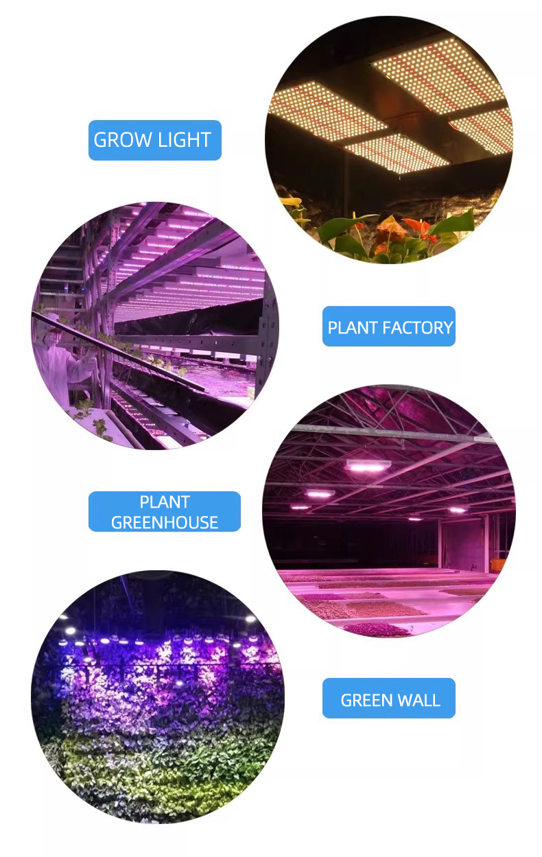 3030 식물 광원 고전압 5V 식물 창고 전용 고전력 0.8W 전체 스펙트럼 LED 비즈